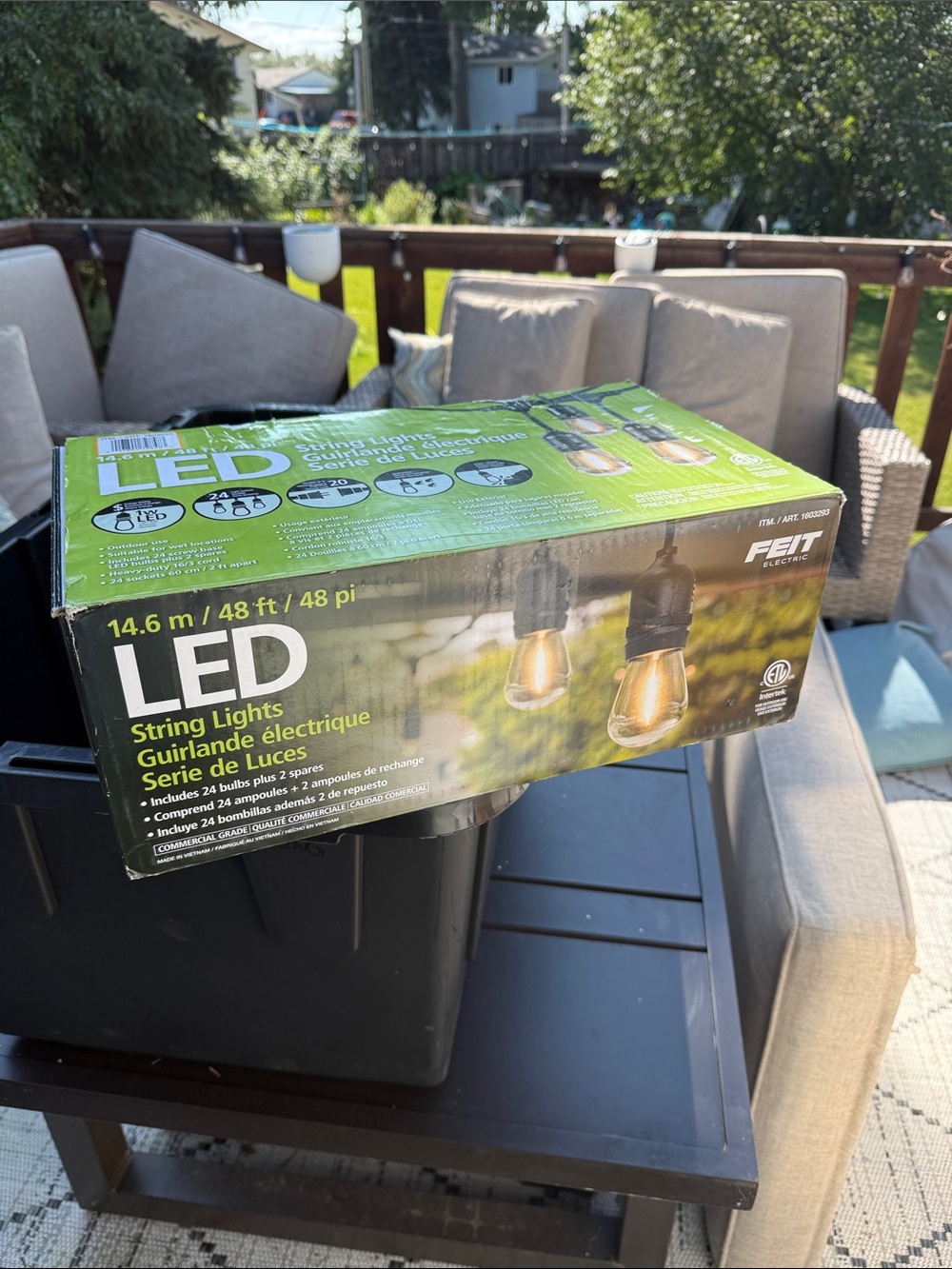 Electric Family LED String Lights  - Black - 48 ft